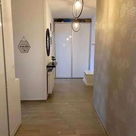 Relax In Apartment Timisoara